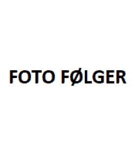 Oplægsholdere